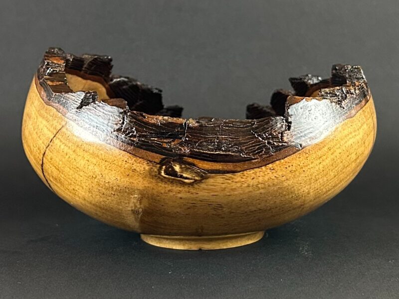 Low bark-rim bowl. Low golden bowl with a broad dark bark-lined rim.